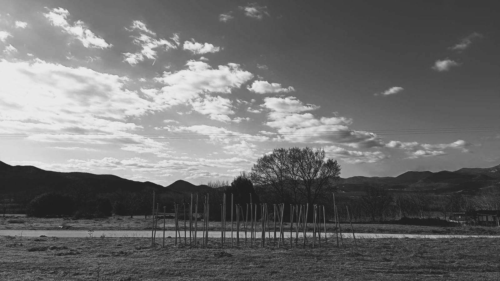 57 ΟΙΚΟΓΕΝΕΙΕΣ ΖΗΤΟΥΝ ΑΠΟΔΟΣΗ ΕΥΘΥΝΩΝ ΓΙΑ ΤΟΥΣ ΝΕΚΡΟΥΣ ΤΟΥΣ ΣΤΑ ΤΕΜΠΗ – ΥΠΟΓΡΑΦΟΥΜΕ ΟΛΟΙ ΤΟ ΣΧΕΤΙΚΟ ΨΗΦΙΣΜΑ